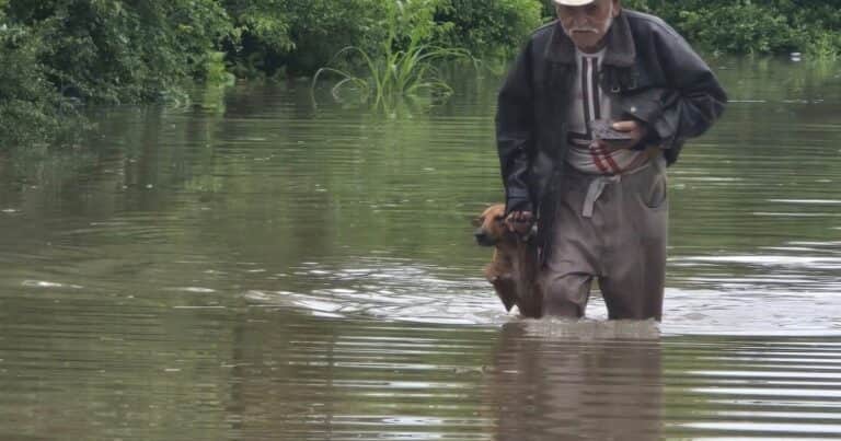 Un abuelo conmovió a las redes tras rescatar a su perro en medio de las inundaciones