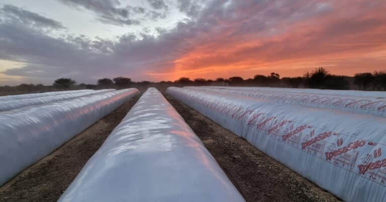 Lluvia de flechas contra agricultores «especuladores»