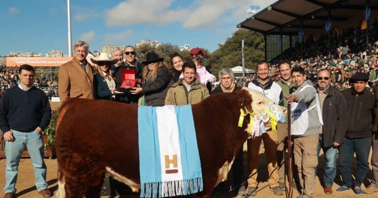 Cabaña Don Benjamín se llevó el premio Gran Campeón Macho Hereford en la Expo Rural de Palermo
