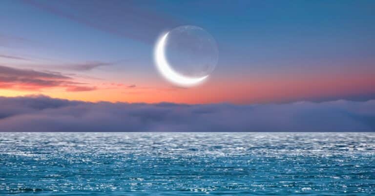 Cómo afecta a cada signo la Luna nueva en Leo del 24 de julio 2025