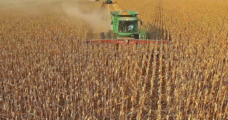 Freno comercial tras la suba de retenciones: cayeron a cero las ventas externas de maíz, soja y trigo