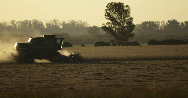 Finalizó la cosecha de soja con 50,3 millones de toneladas y rindes por encima del promedio