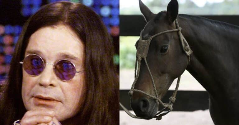 El día que Ozzy Osbourne reveló que dejó las drogas luego de hablar durante una hora con un caballo