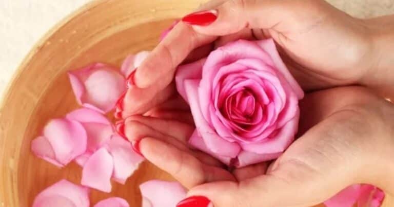 ¿Cuántas veces es aconsejable aplicar el agua de rosas en la piel?