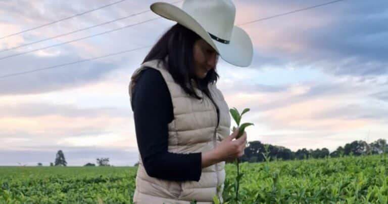 Entre laboratorios y la selva misionera, una bebida saludable busca conquistar el paladar argentino
