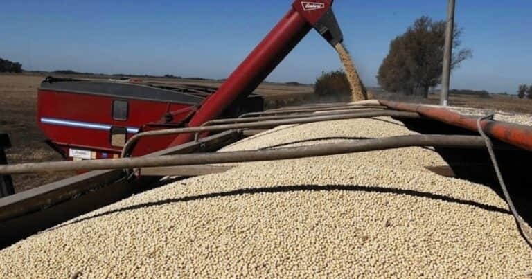 La soja al borde del abismo o del despegue: ¿se viene un rally por el aceite o el derrumbe por la sobreoferta?