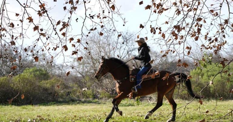 Javier Milei y sus medidas, EN VIVO: «Mi primera vez en un caballo argentino», el balance de la funcionaria de Trump que visitó Argentina