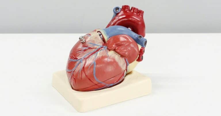Cardiología en foco: cómo evitar picos de presión arterial después de los 60