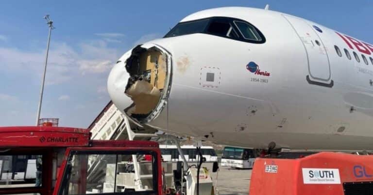 Insólito: un avión chocó con un pájaro, destrozó la trompa en pleno vuelo y tuvo que aterrizar de emergencia en Madrid