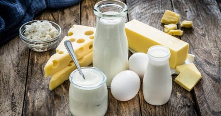 Cómo es el ranking del procesamiento de leche en la Argentina