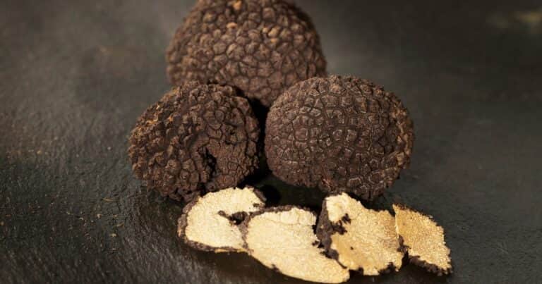 Qué son las trufas negras y cómo mejoran tu salud si las sumás a tu dieta