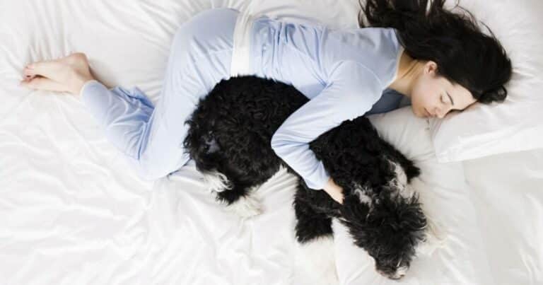 Por qué las mujeres duermen mejor con perros que con su pareja