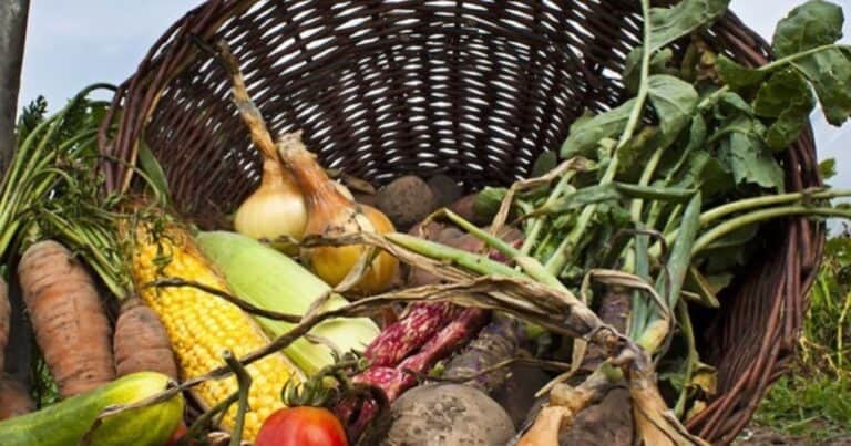 Una nutricionista explica por qué conviene usar el agua de cocción de las verduras