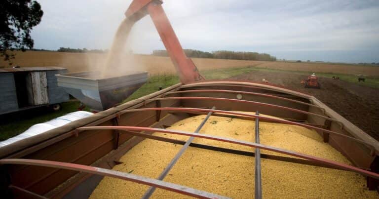 Un informe revela que a pesar de la baja de retenciones la presión fiscal sobre el agro sigue en niveles históricos