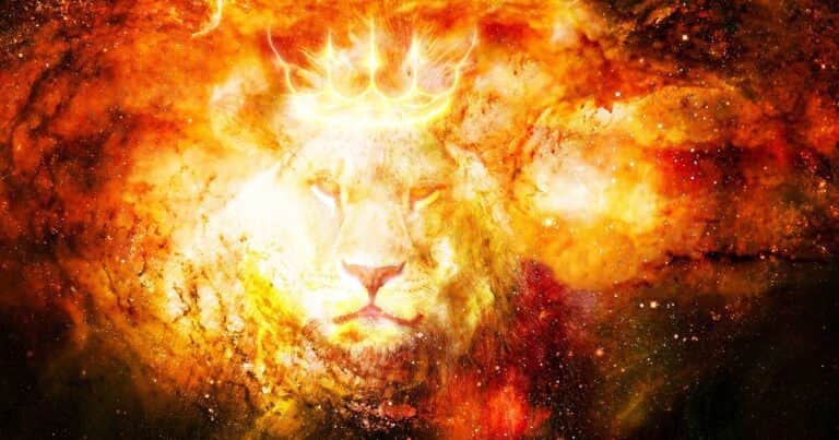 Portal del León del 8/8 2025: qué es, cuál es su significado y cómo activarlo