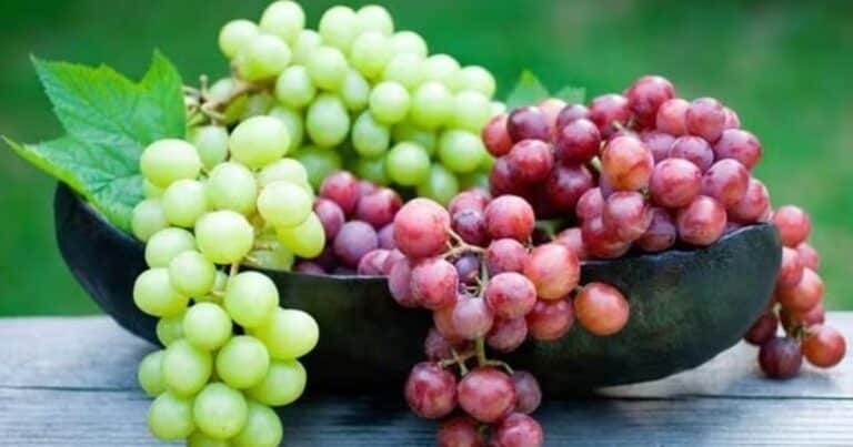 ¿Comer uvas mejora la salud y fuerza muscular? Estudios, mitos y verdades