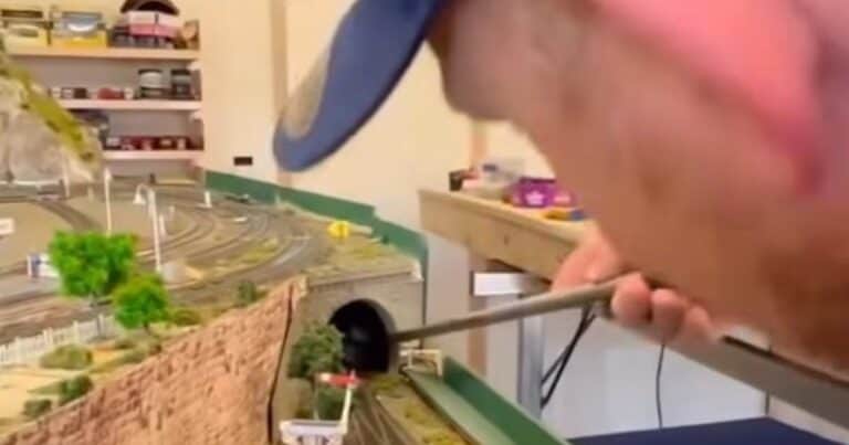 Jugaba con su tren a escala y encontró una serpiente venenosa escondida en la maqueta: «Pensé que era de goma»