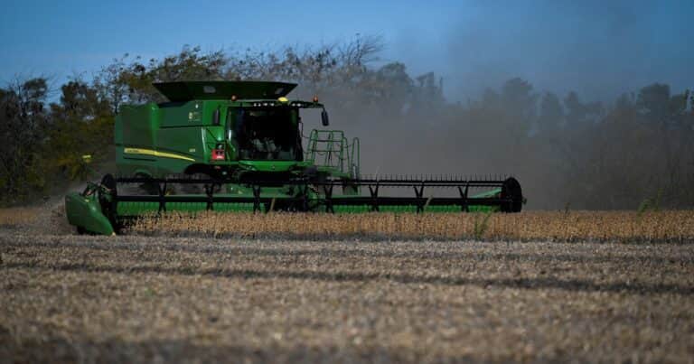 Para tomar créditos, el campo prefiere endeudarse en dólares: el 80% es en moneda dura