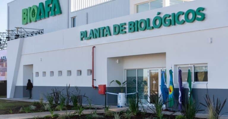 Una propuesta integral para los productores en el Congreso Internacional de Maíz 2025