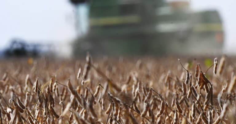 Alerta en el campo: EE.UU. pidió que no se prorroguen las retenciones cero para el agro más allá de octubre