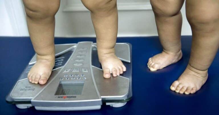 Peligro para la salud: uno de cada 5 niños en el mundo es obeso