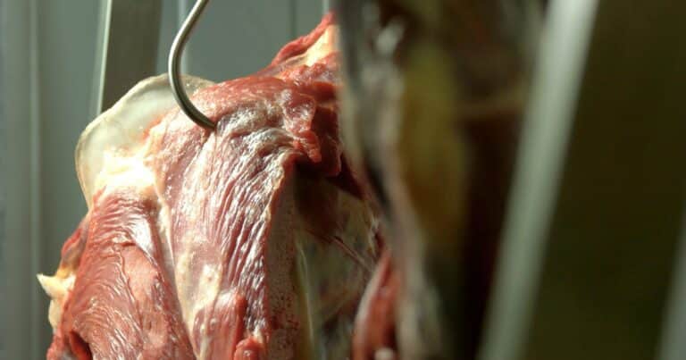 El Gobierno también bajó a cero las retenciones a la carne vacuna y avícola hasta el 31 de octubre