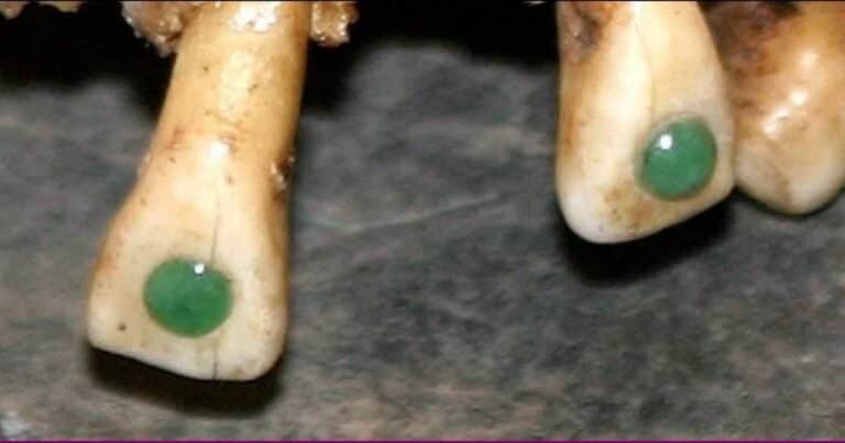 Descubrieron porqué los antiguos mayas pegaban piedras preciosas en sus dientes