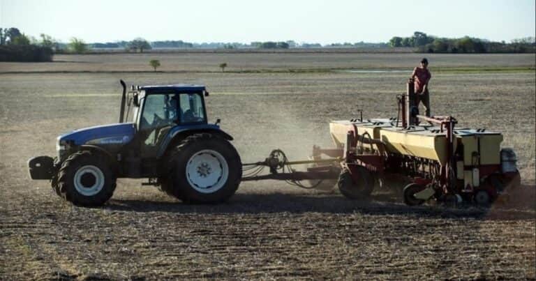 Importante mejora en la relación insumo producto de la soja tras la eliminación de las retenciones