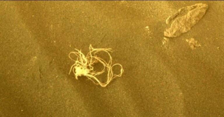El misterioso objeto terrestre que el rover de la NASA descubrió en el suelo de Marte