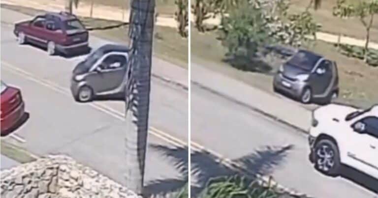 Desopilante: una mujer intentó estacionar un Smart y terminó de la peor manera