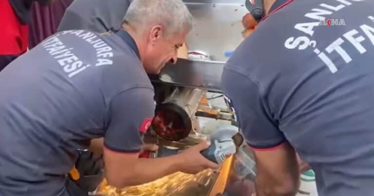 Ayudaba a su familia y vivió una pesadilla: quedó atrapada en una trituradora de tomates