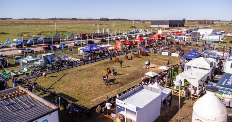 Vuelve la Semana Angus de Primavera con predio renovado: la agenda del evento, día por día