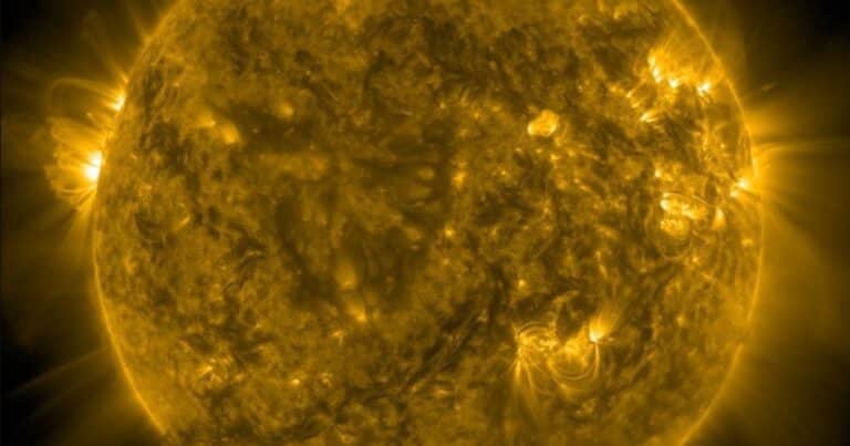 “El Sol está despertando”: la NASA registró un cambio de tendencia en la actividad solar