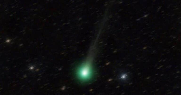 El evento astronómico del año: el cometa Limón podrá ser observado a simple vista en octubre