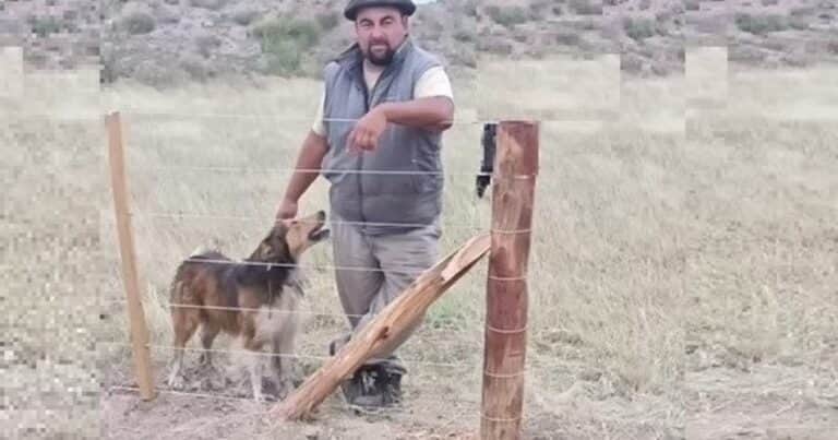 «¿Vos y cuántos más?»: la pelea en el campo con un final sangriento y un patrón «no culpable»