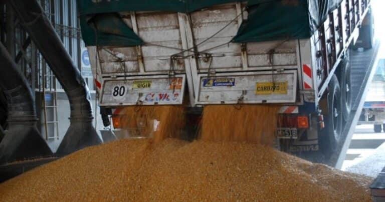 El precio de la soja dio un salto desde que finalizó la baja de las retenciones cero