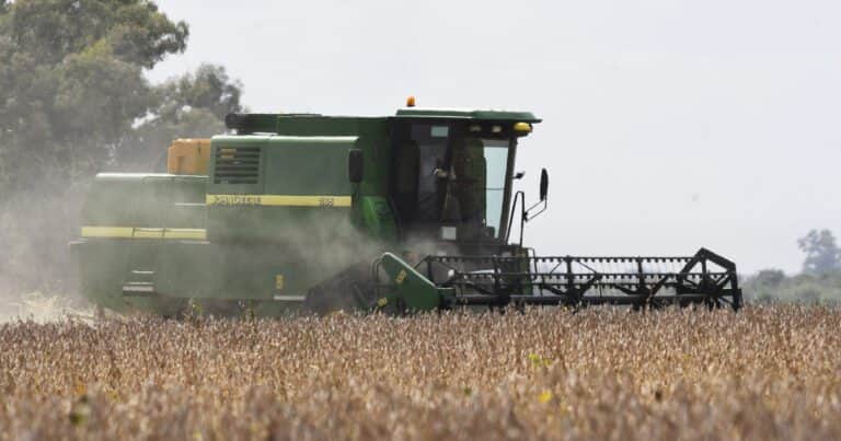 El aporte del campo hasta fin de año le permitirá al Gobierno recuperar solo lo que gastó en tres días para contener al dólar