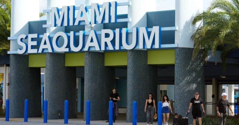 El famoso y criticado Miami Seaquarium cerró sus puertas