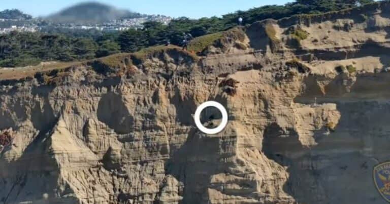 Un equipo de bomberos realizó un increíble rescate de un perro que cayó en un acantilado