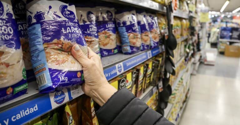 Milei se quedó corto con lo del “parate” de la economía