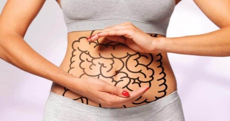 Salud intestinal: la recomendación de la médica Isabel Viña sobre los compuestos fenólicos