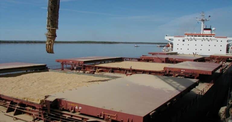 El mercado chino sigue siendo prioritario para la producción agroalimentaria argentina