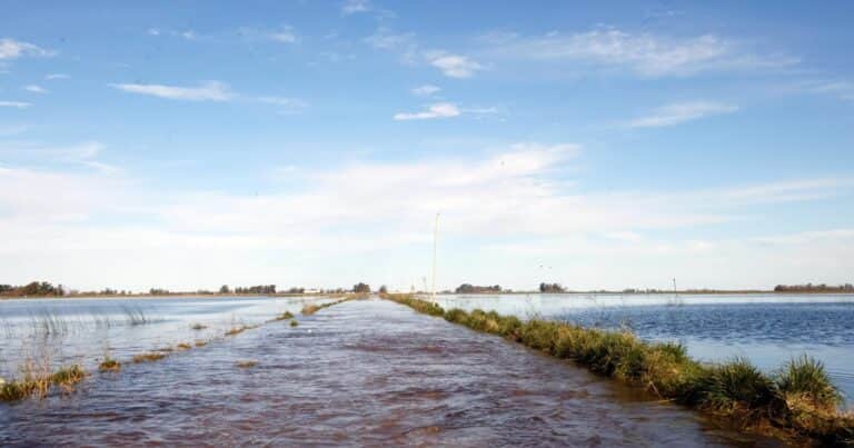 El Gobierno oficializó la emergencia agropecuaria para 10 partidos de Buenos Aires afectados por las inundaciones