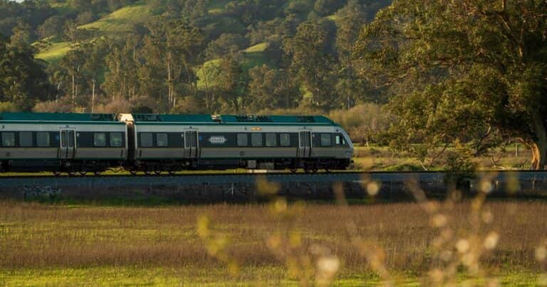 Viajaba en tren, sacó la cabeza por la ventanilla y murió: multaron a la empresa ferroviaria