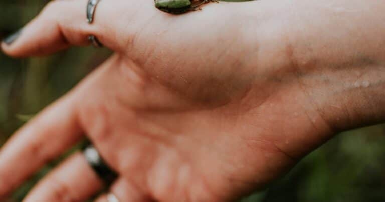 Una mujer se tragó ocho ranas por una falsa creencia popular y vivió una pesadilla: «El dolor se volvió cada vez más intenso»