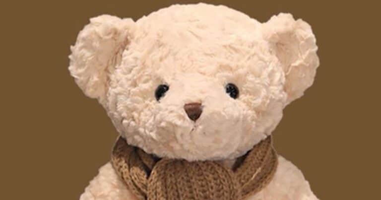 Retiran del mercado a un osito de peluche con IA por dar consejos sexuales