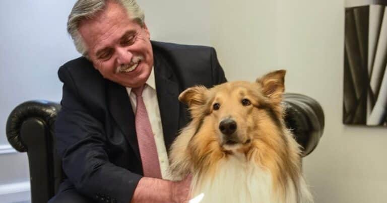 Cuando la política a veces se vuelve «una vida de perros»