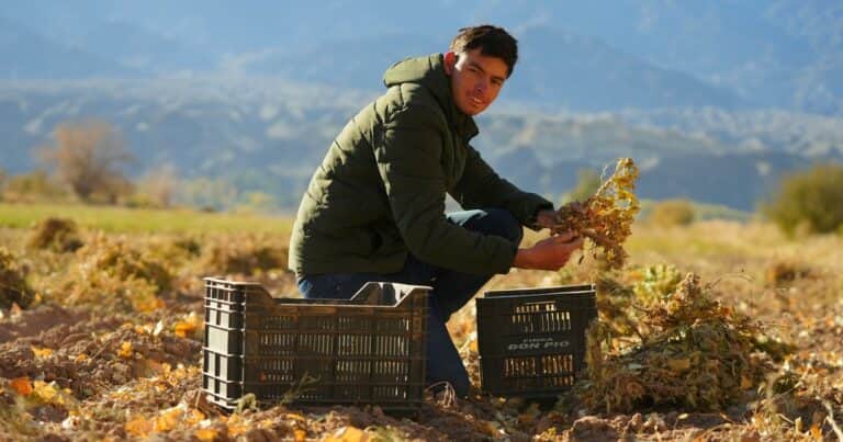 “¿Por qué no hacerlo?»: una pyme familiar se animó y apostó a un cultivo inédito para su provincia