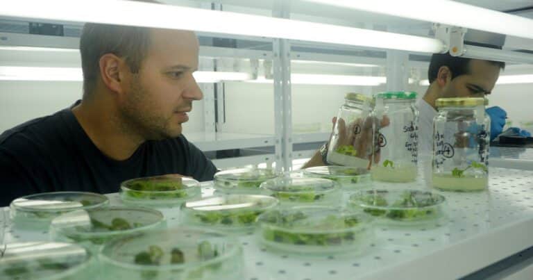 La conexión clave entre investigación científica, innovación y producción