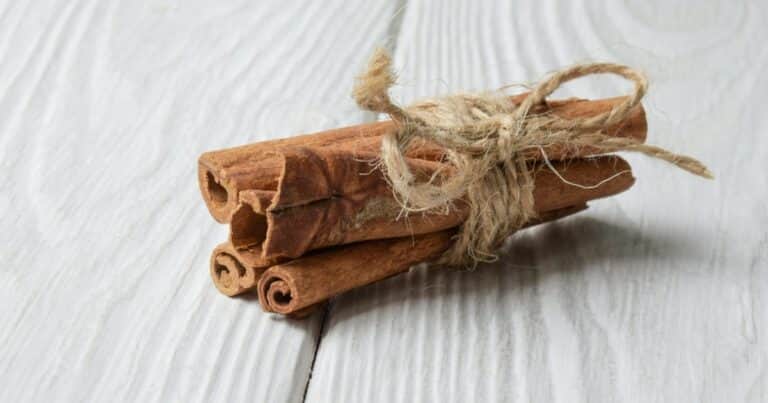 ¿Cómo usar la canela para bajar de peso rápido?